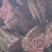 新货鸡血藤