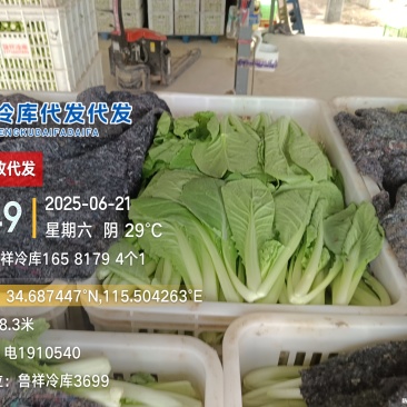 代收代发快菜
