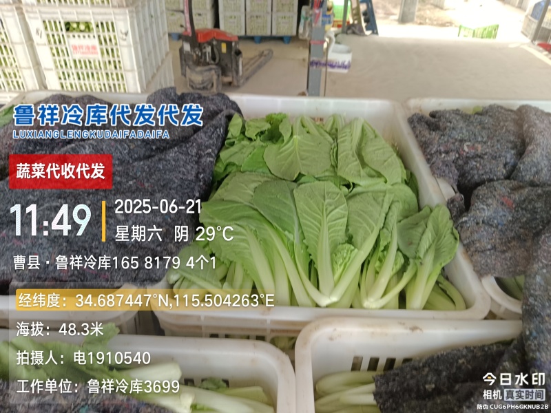 代收代发快菜