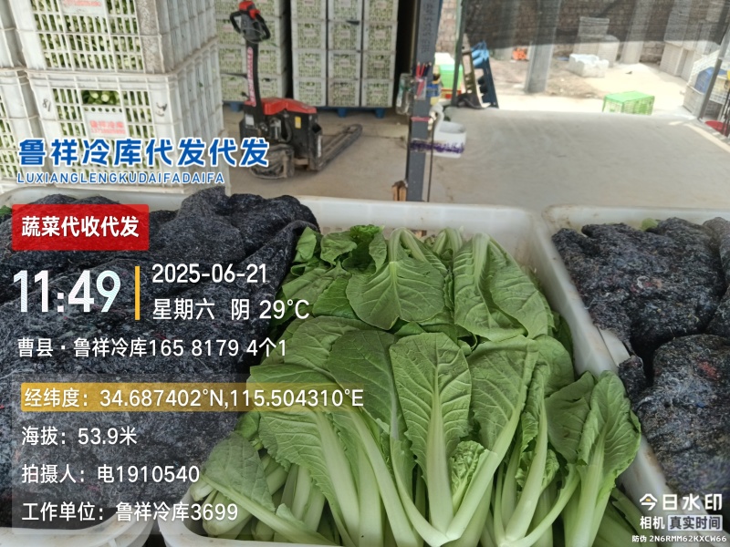 代收代发快菜