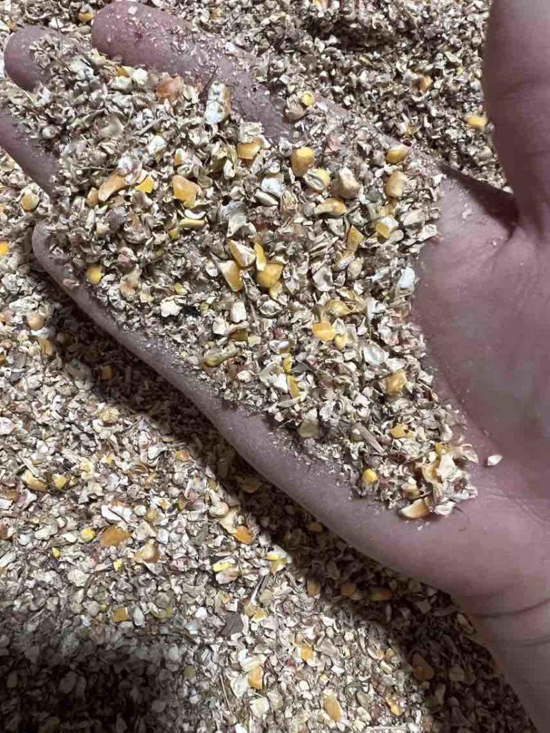 毛粮碎玉米，8个粮