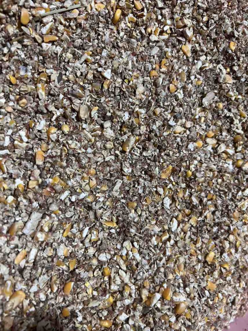 毛粮碎玉米，8个粮