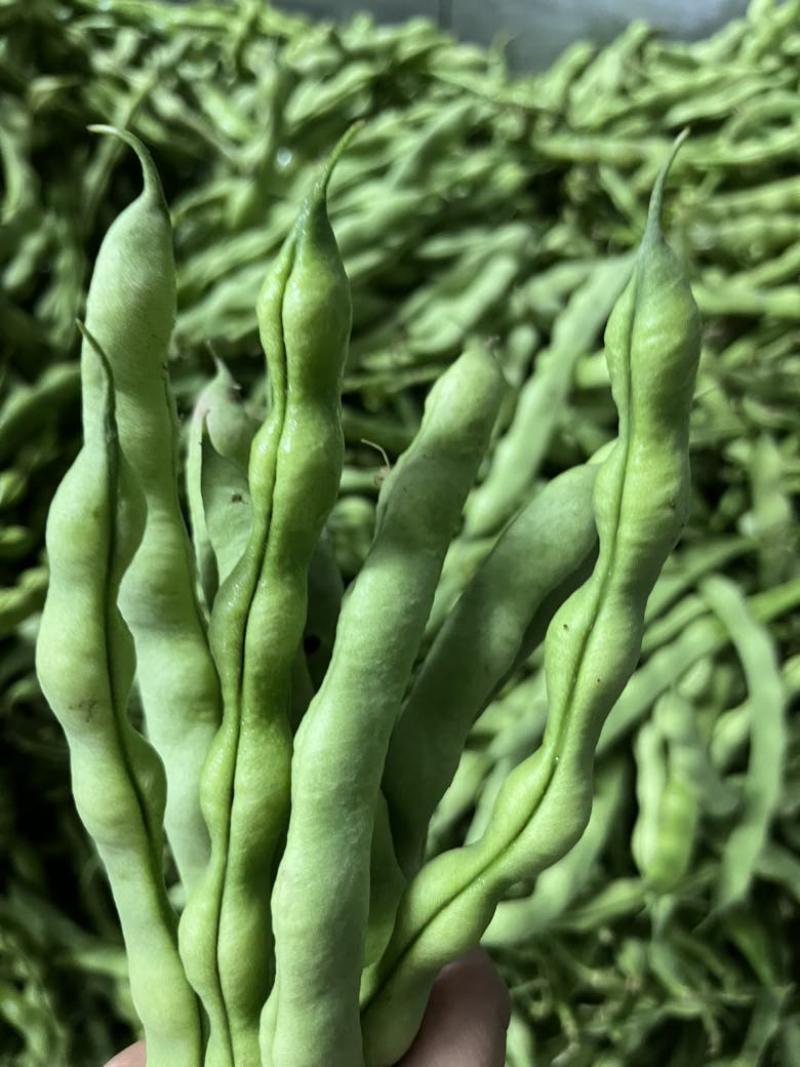 肉豆