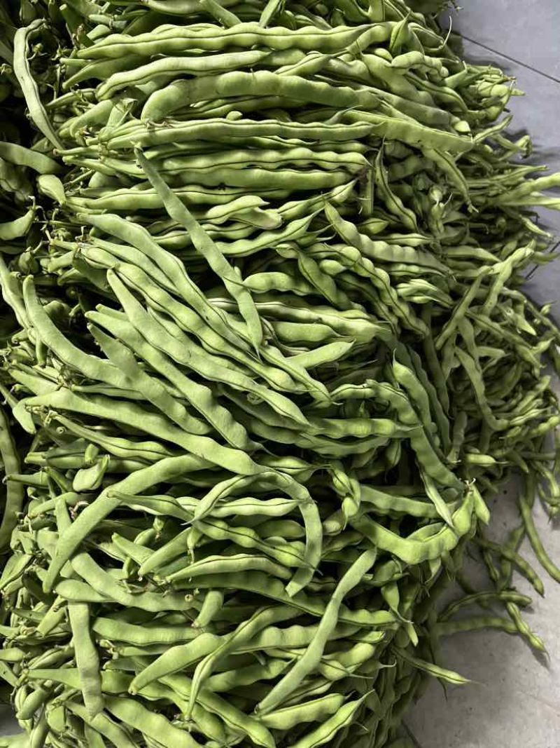 肉豆