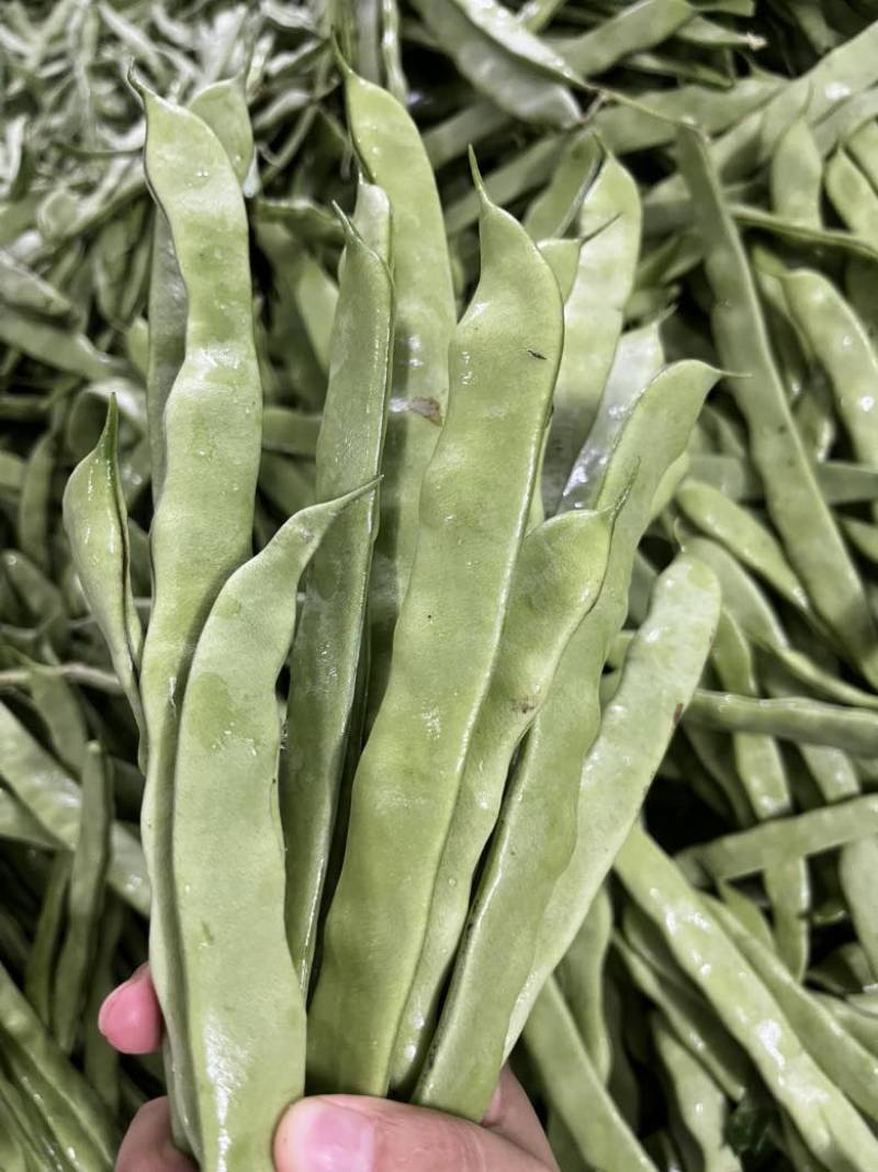 恩施应季扁豆