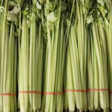 香芹