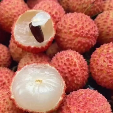 荔枝