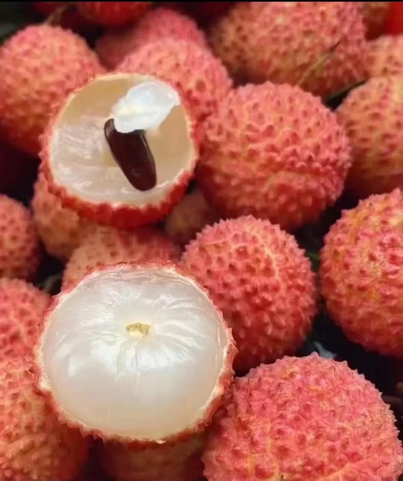 荔枝