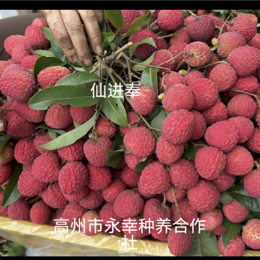 一件代发