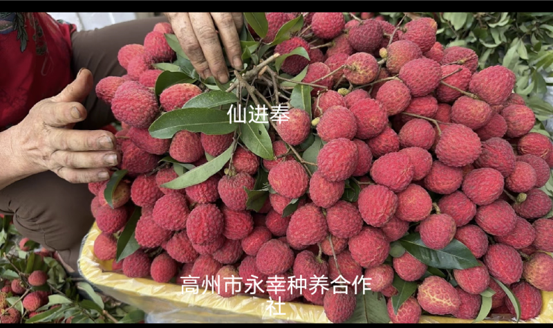 一件代发
