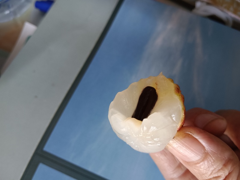 一件代发