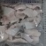 纯干单冻鲢鱼块无鱼腥味