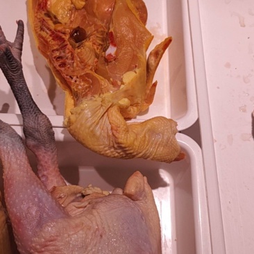 鲜肉类，鸡肉类