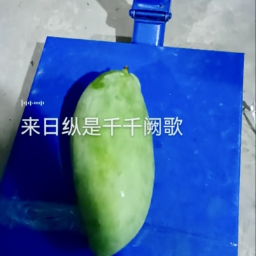 芒果🥭