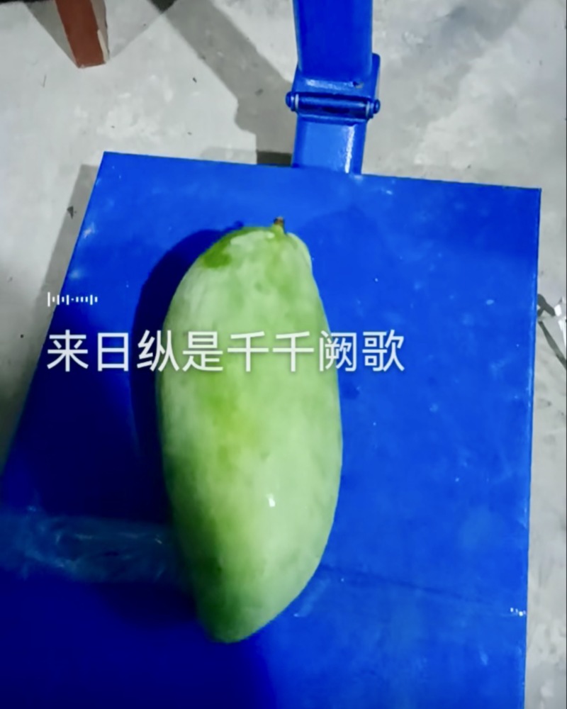 芒果🥭