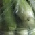 有几十斤黄瓜和长豆角