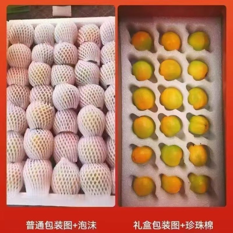 敦煌李广杏