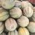 伽师县甜瓜🍈