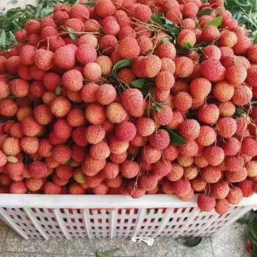 荔枝