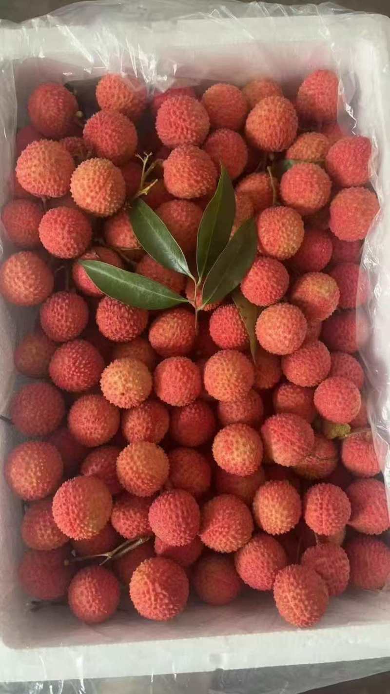 荔枝