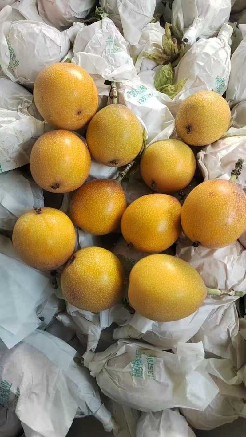 西双版纳热情果