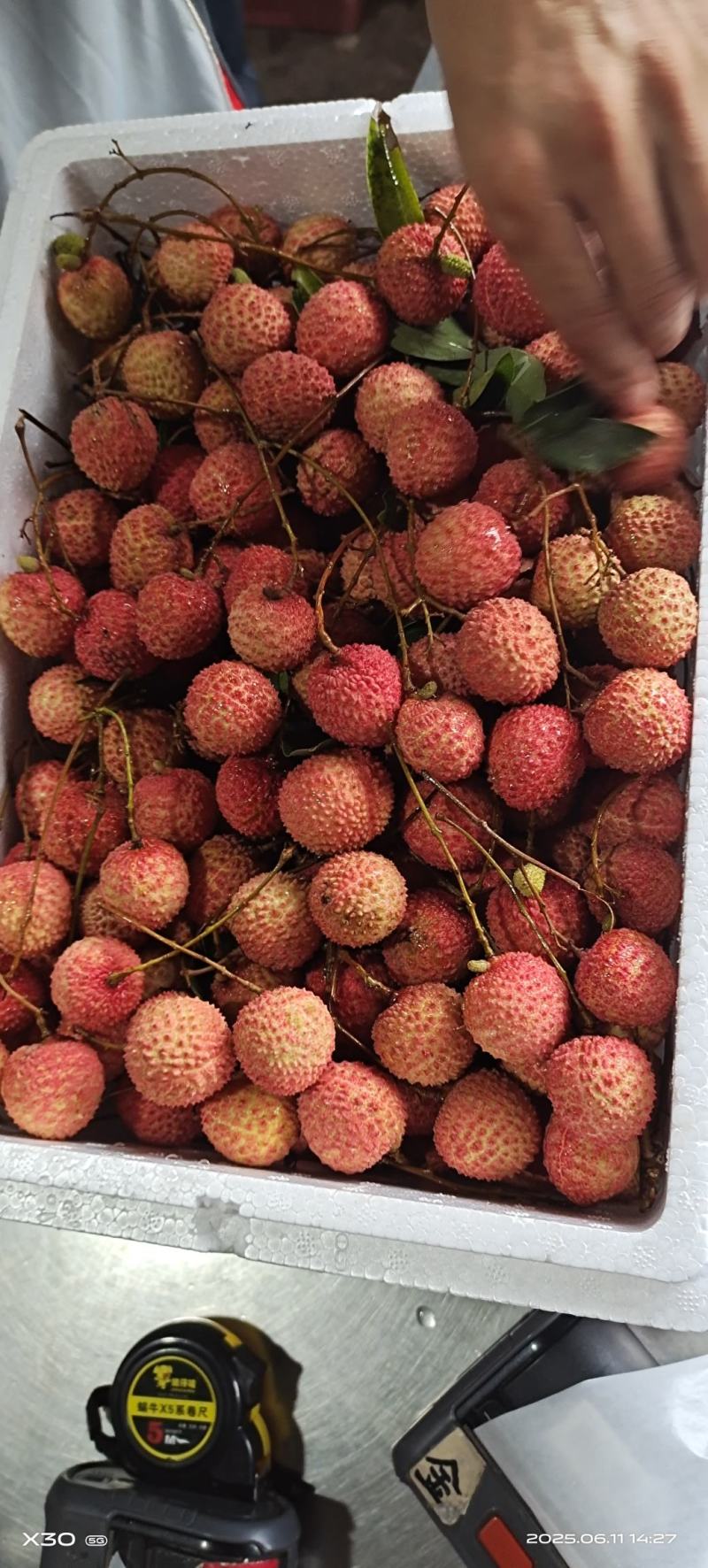 桂味荔枝