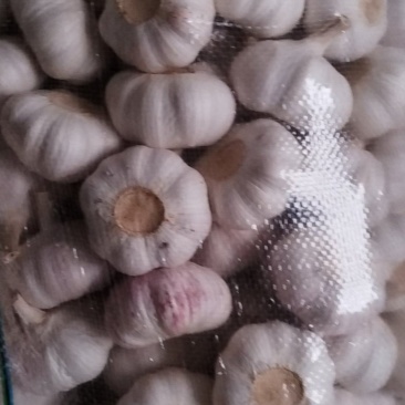 邳州全级优质净蒜