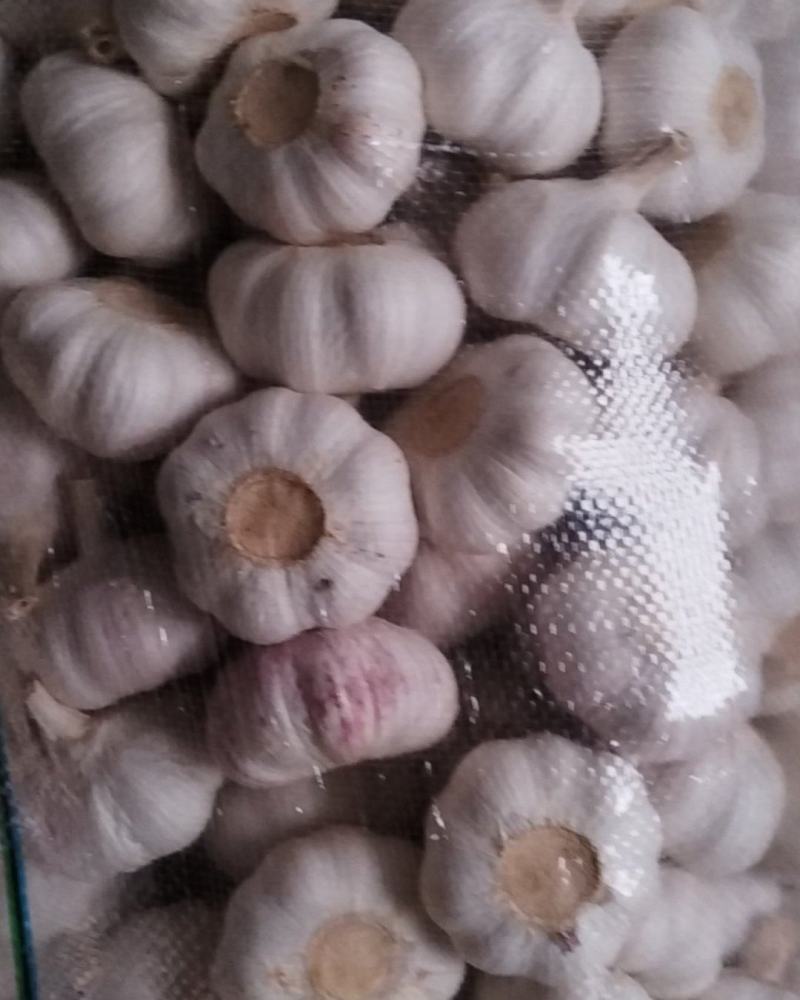 邳州全级优质净蒜