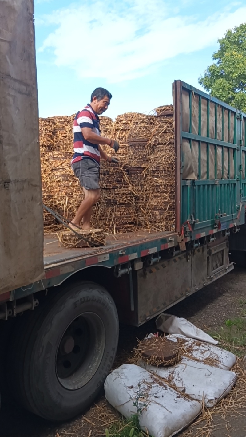 茶粕茶饼茶子粉养虾清塘