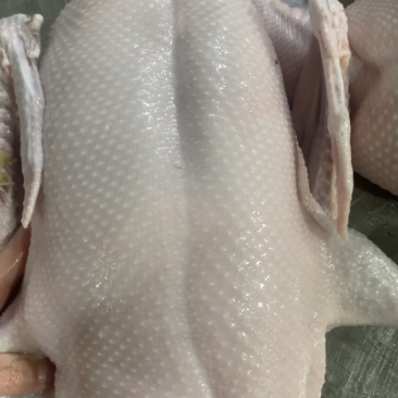 早安