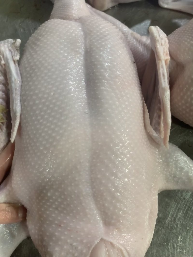 早安