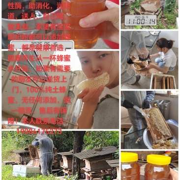 大悟县李家冲水库自家养的纯土蜂蜜