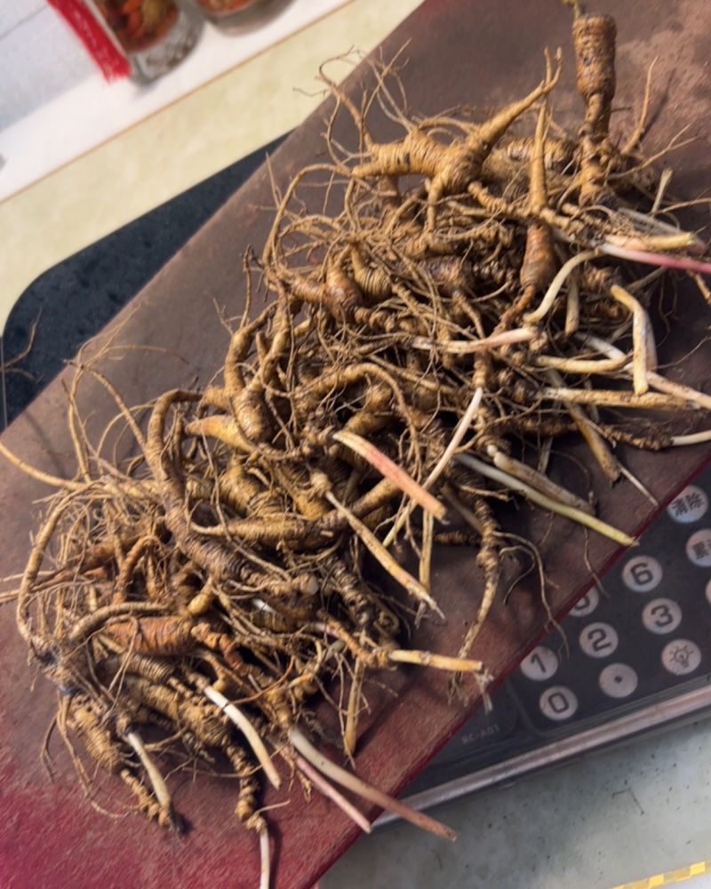 新鲜带土的鲜人参，煲汤炖菜，泡酒
