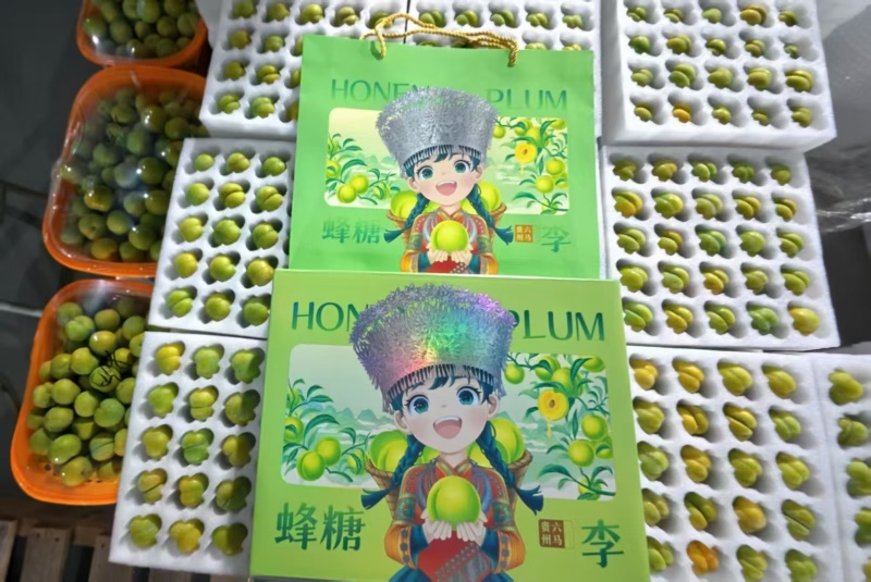 贵州安顺六马正宗蜂糖李