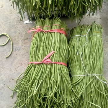 缸豆工厂货