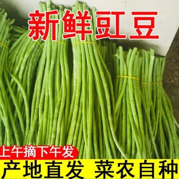 缸豆