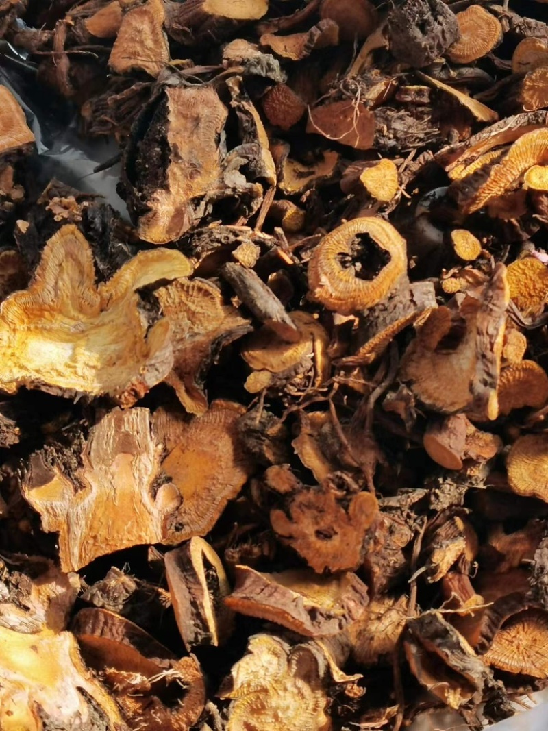 土大黄切片干货