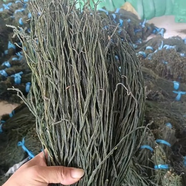 🌾【源头直供！优质干豆角厂家直发】🌾