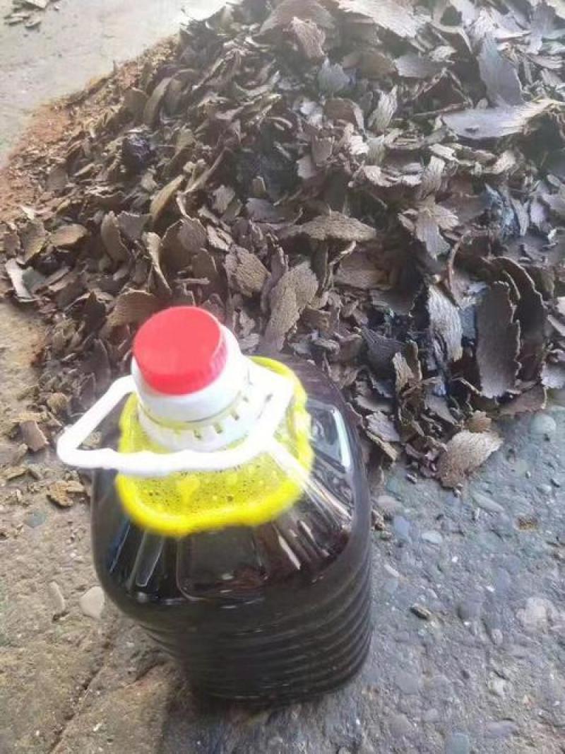 小村土榨菜籽油