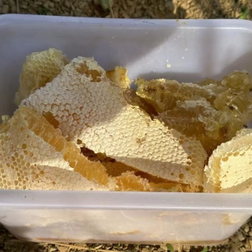 云南文山州丘北县野蜂蜜，波美度42.5度包邮