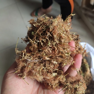 合欢花
