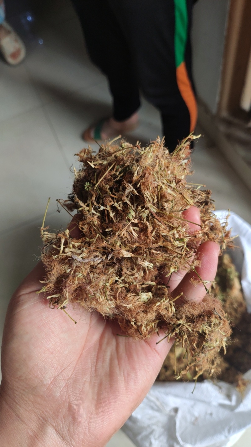 合欢花