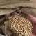 鸡鸭鹅猪牛羊颗粒饲料蛋白高增肥快适口性好