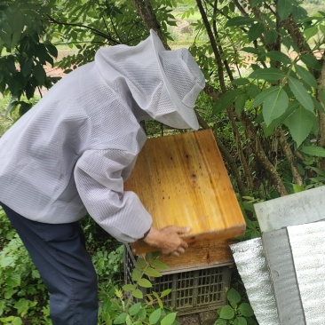 正宗蜂蜜来自我爷爷30年养蜂经验，手下徒弟20多位
