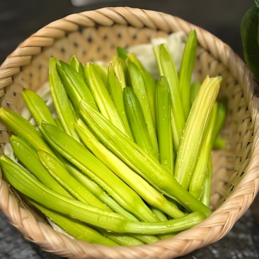 精品黄花菜