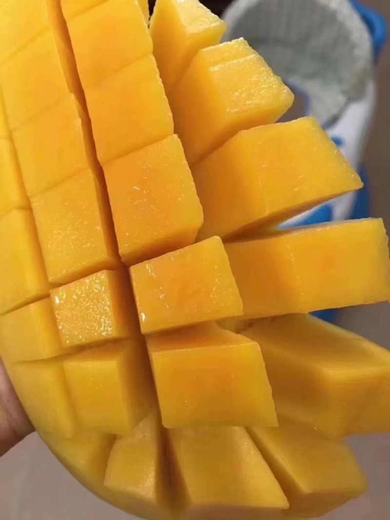 金黄芒果