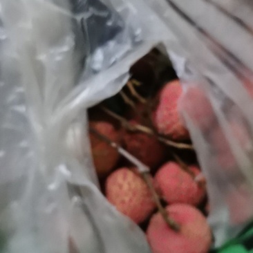 增城仙村仙进奉