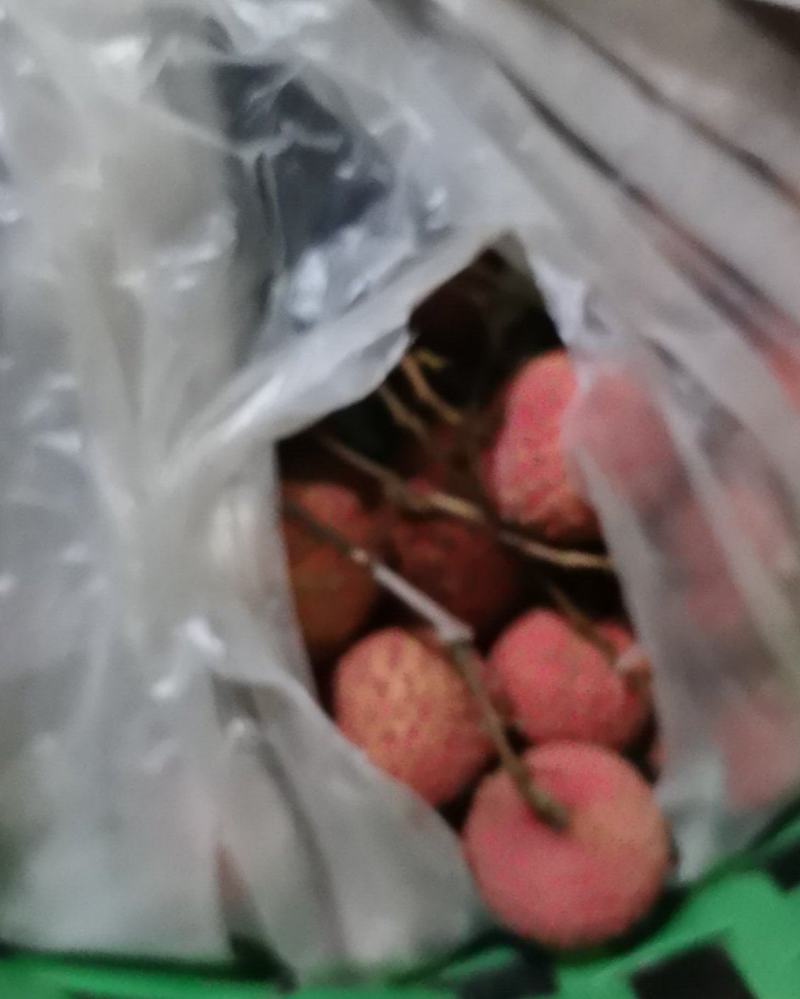 增城仙村仙进奉