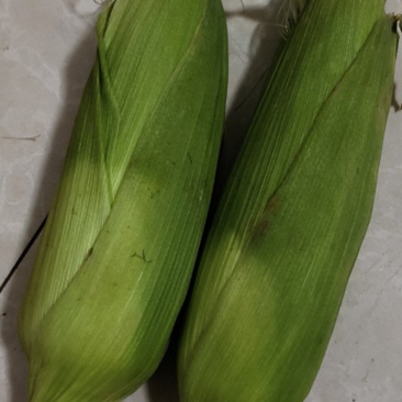 花巢水果玉米