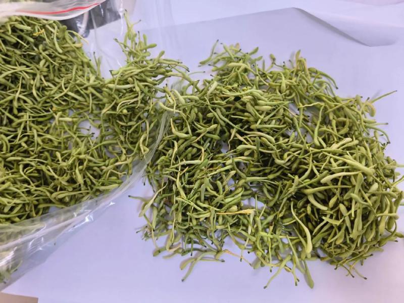 烘干金银花，品质优！！